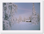 reindeerman's hut_4704 * 800 x 600 * (358KB)